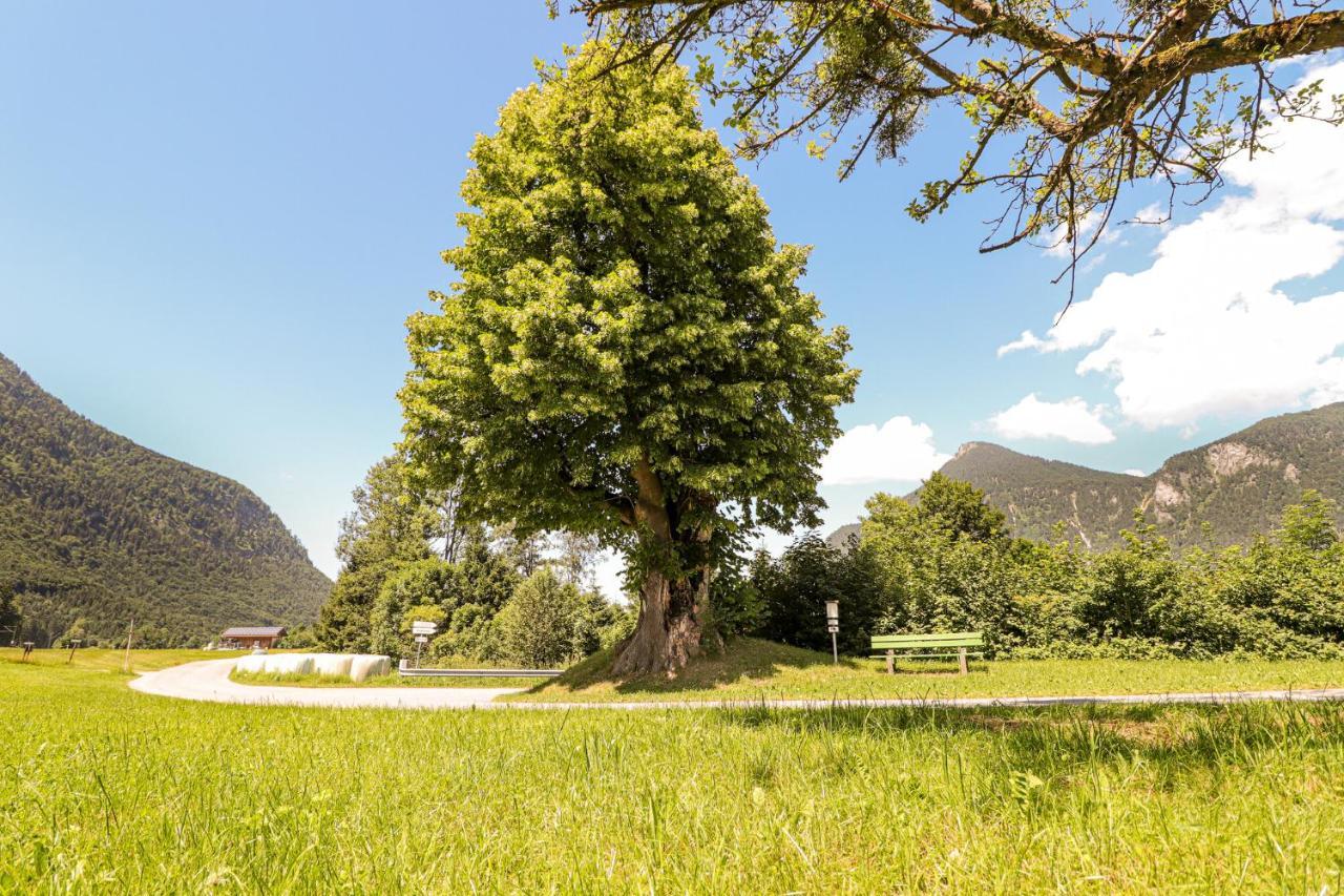 Ferienwohnungen Beim Silbergersee Oberaudorf Ngoại thất bức ảnh